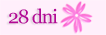 Logo28dni